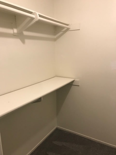 Building Photo - 486 Serento Cir