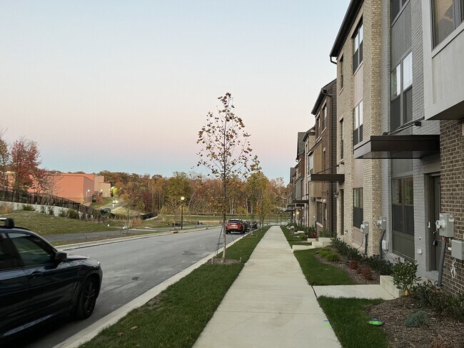 Building Photo - 3560 Stella Blue Dr