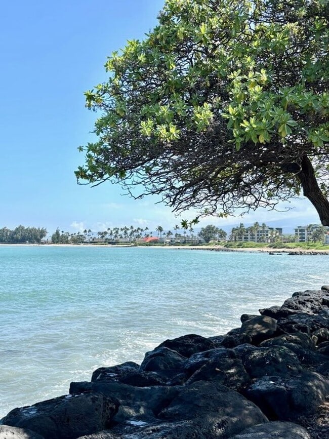 Building Photo - Harbor Lights Convenient Kahului Location
