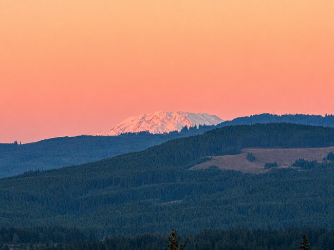 Building Photo - Stunning Custom Camas Home