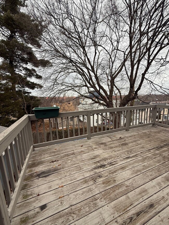 Building Photo - Spacious, Sunny and Updated Brighton / Oak...