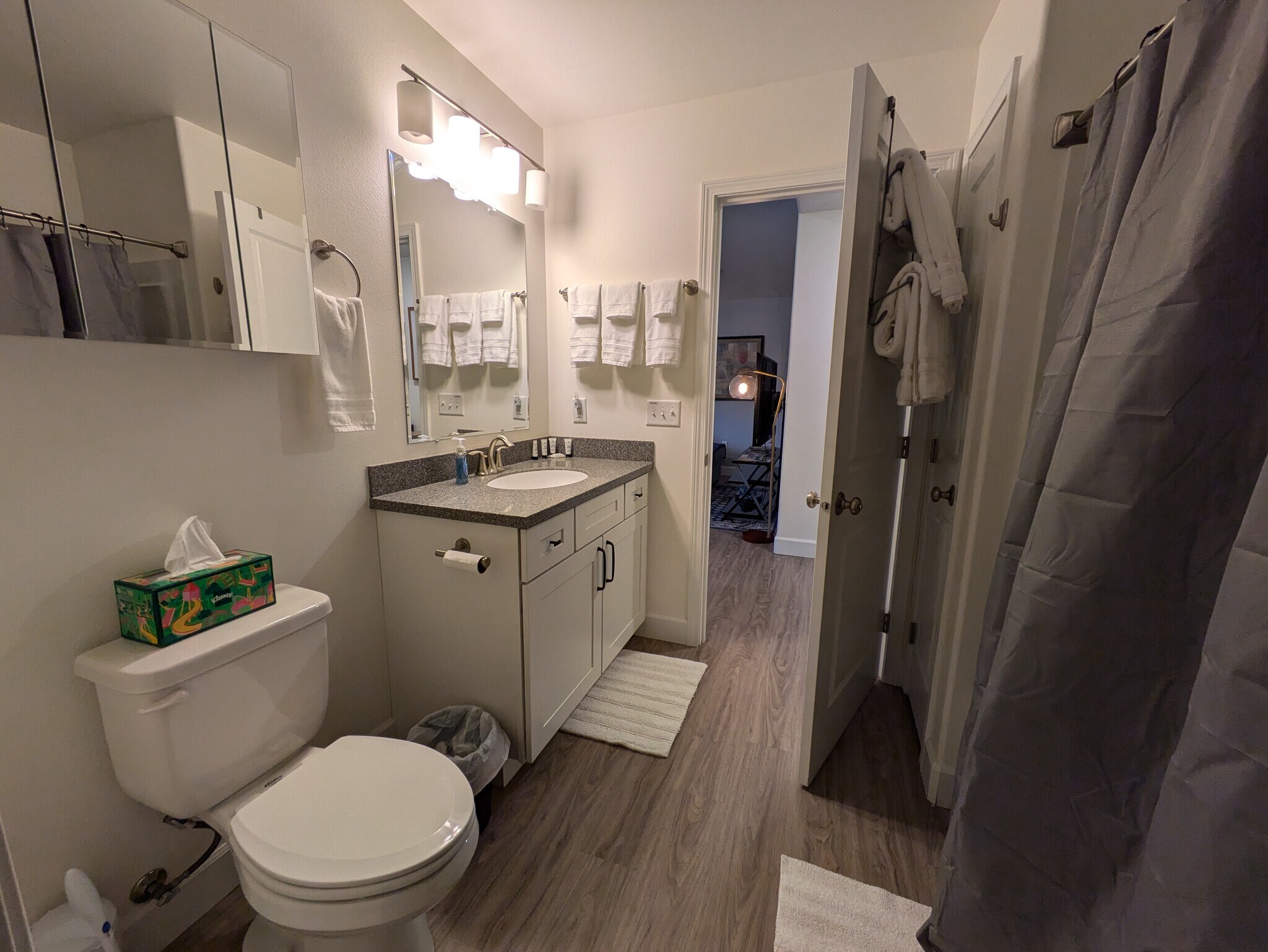 Main Bath - 8244 Rovenna St