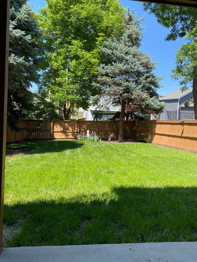 Building Photo - Highlands Ranch Home Available Now!
