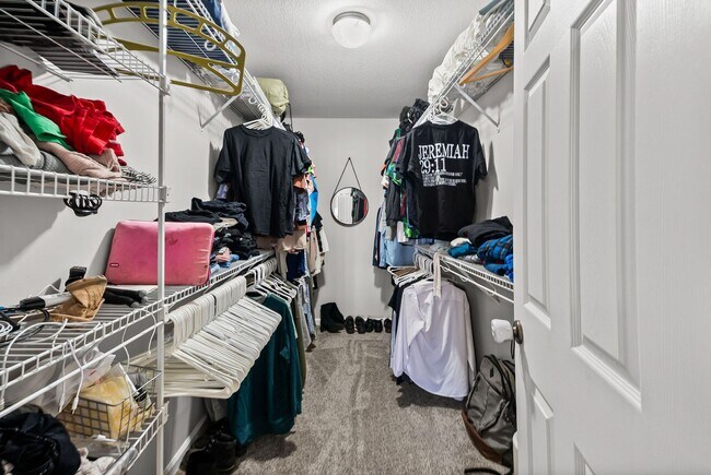 Building Photo - 2499 Old Timber Ct