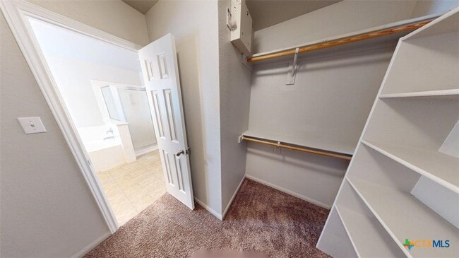 Building Photo - 601 Cattail Cir