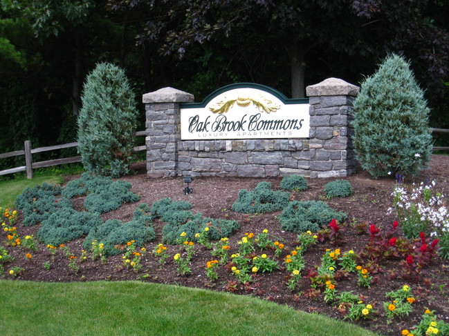 Welcome! - Oak Brook Commons