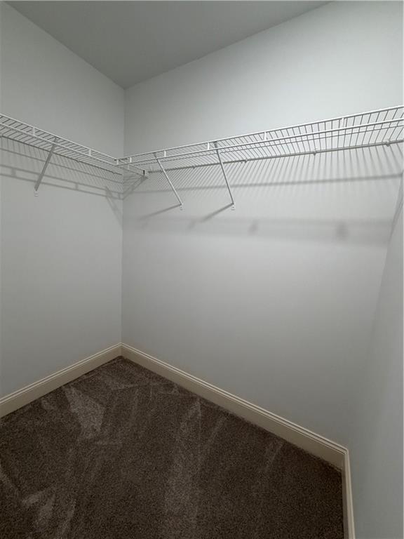 Building Photo - 4805 Carriage Bridge Ln