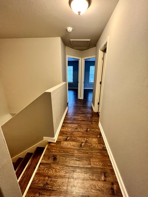 Building Photo - 12292 Rambling Rose Wy