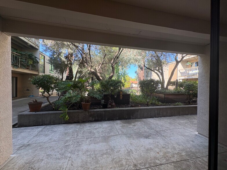 Green spacelookout from your Patio - 350 N Civic Dr