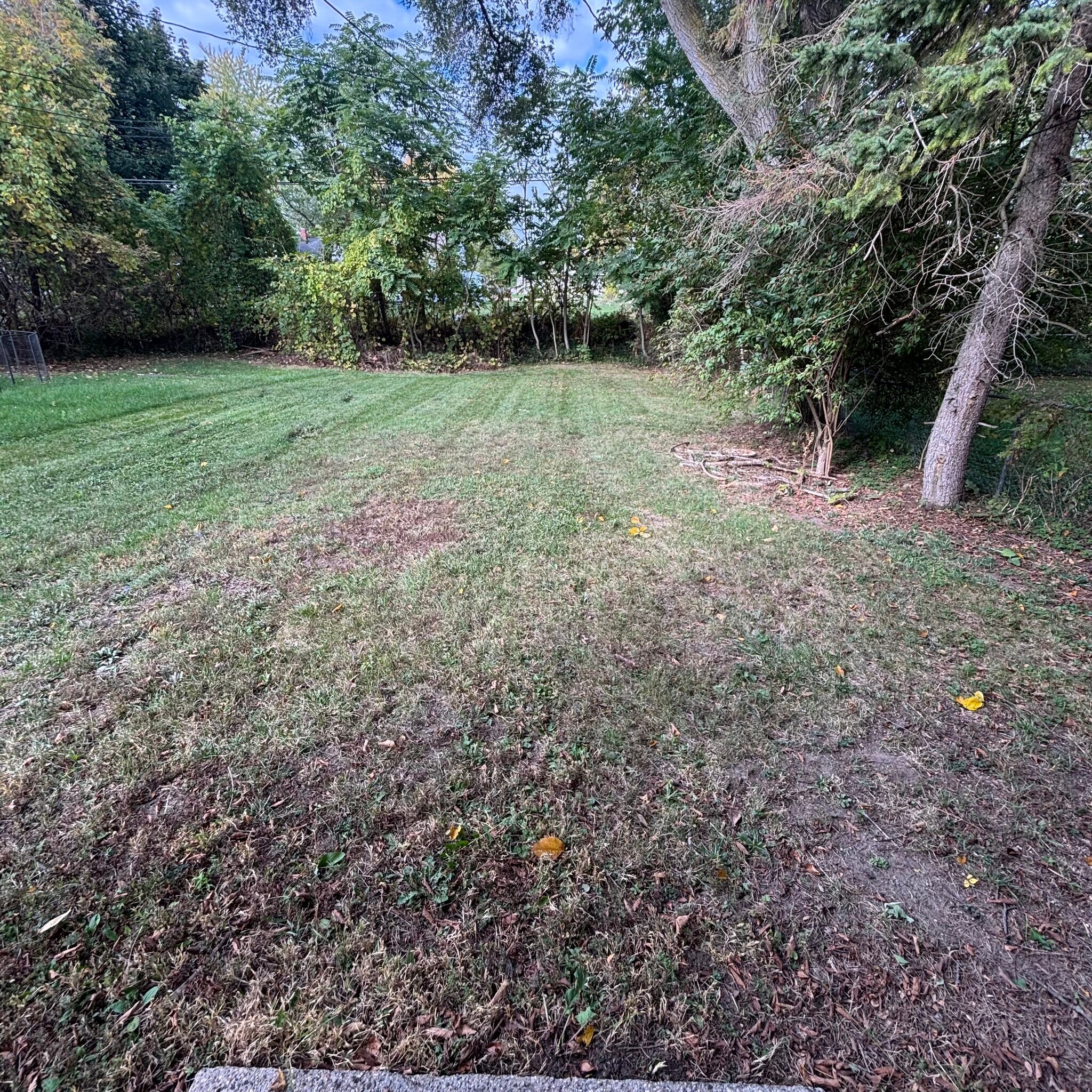 Building Photo - 312 S Rosemary St