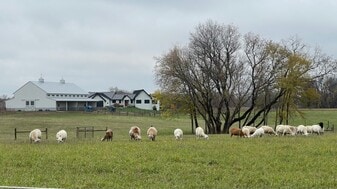 Building Photo - 7676 County 17 Blvd