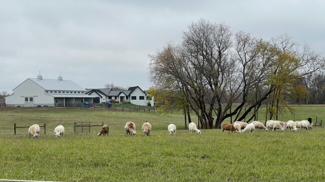 Building Photo - 7676 County 17 Blvd
