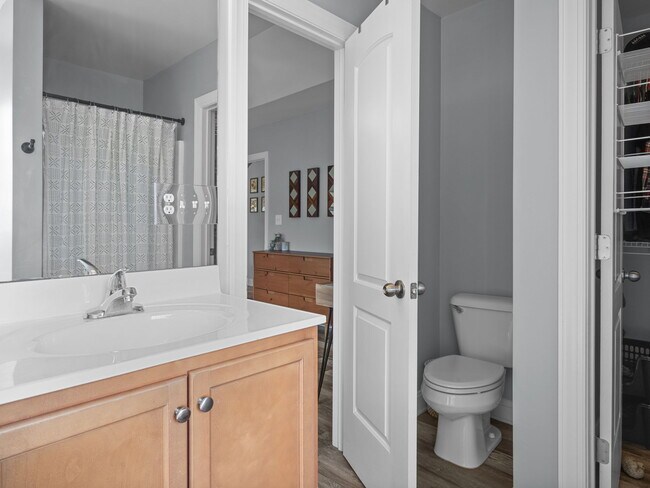 Building Photo - 309 Forbes Ln