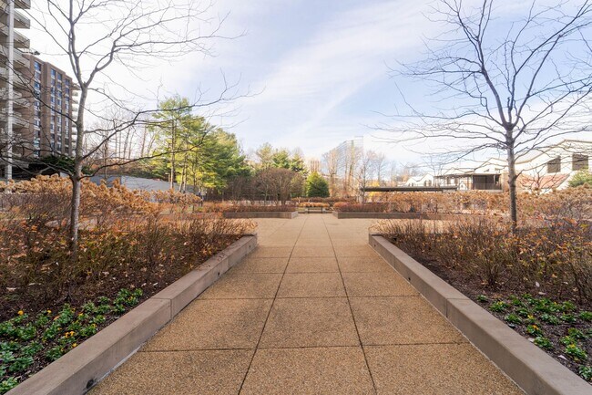 Building Photo - Contemporary 2BR/2BA Corner Condo at The Encore of McLean