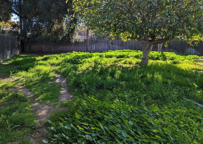 Building Photo - 2 br + bonus living area, in a quiet neighborhood near the 10 fwy