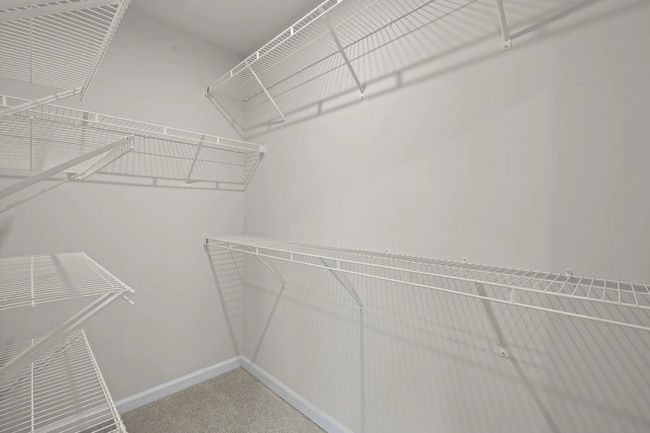Building Photo - 3113 Perdue Springs Dr