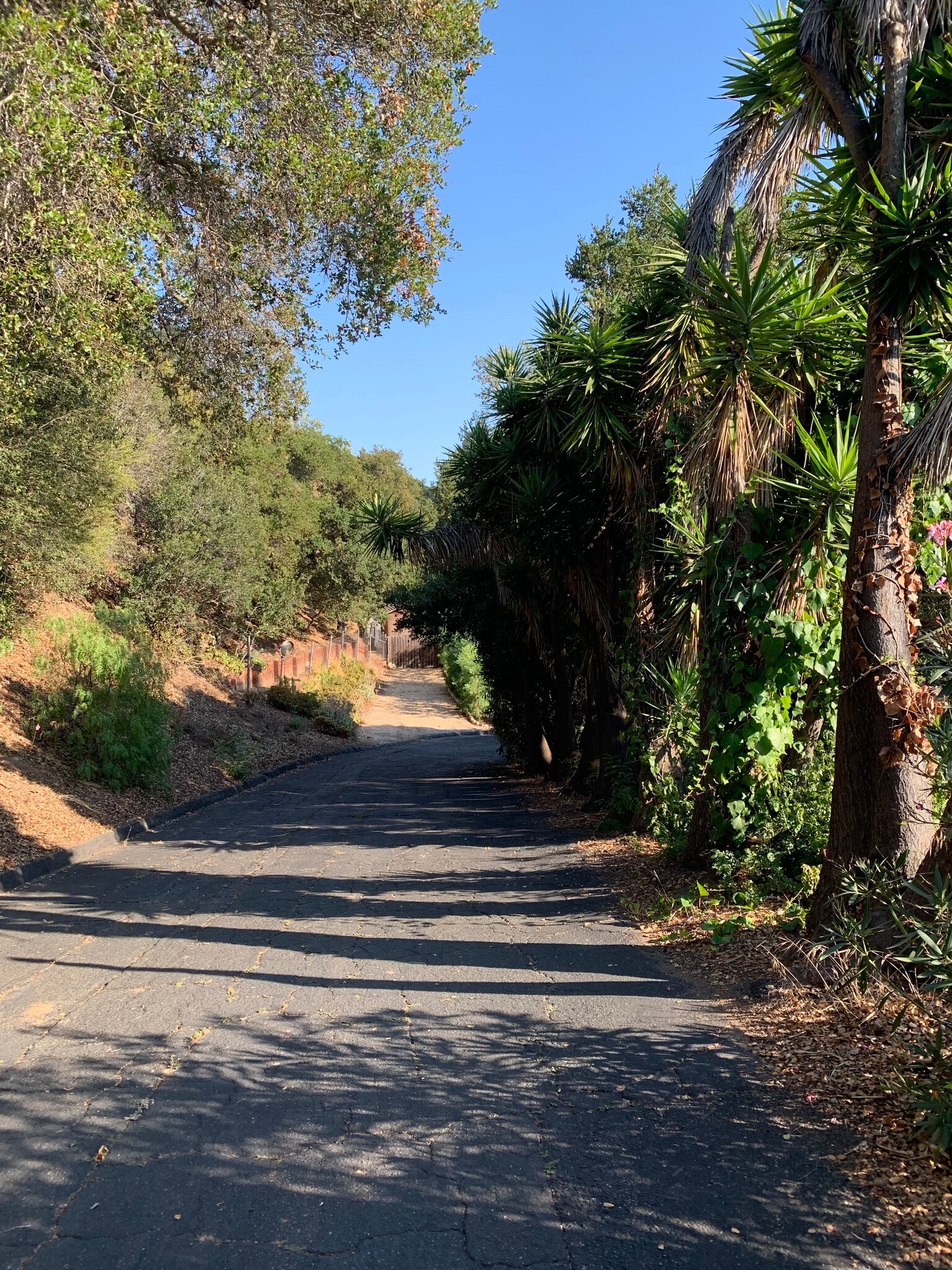 Building Photo - 30 Saint Francis Way