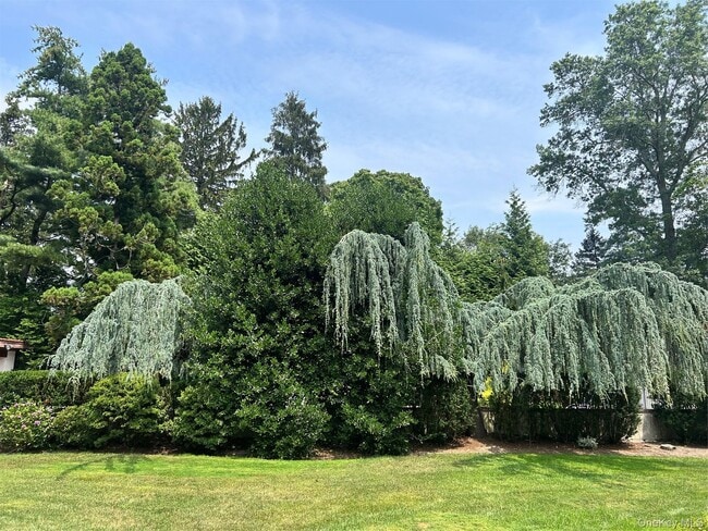 Building Photo - 8 Plaka Ct