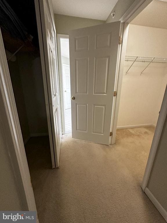 Building Photo - 147 Fringetree Dr