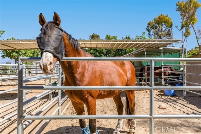 Building Photo - 359 Avenida Castilla