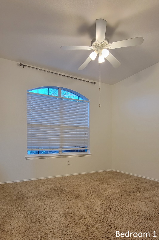 Building Photo - 6405 Branchwood Trail