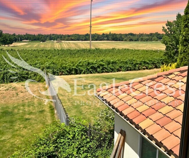 Building Photo - Luxury Bella Terra Estate with Mountain & Vineyard Views