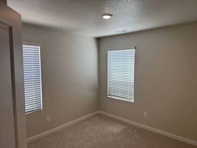 Building Photo - Stunning Brand New Home Close To Lowry & DIA