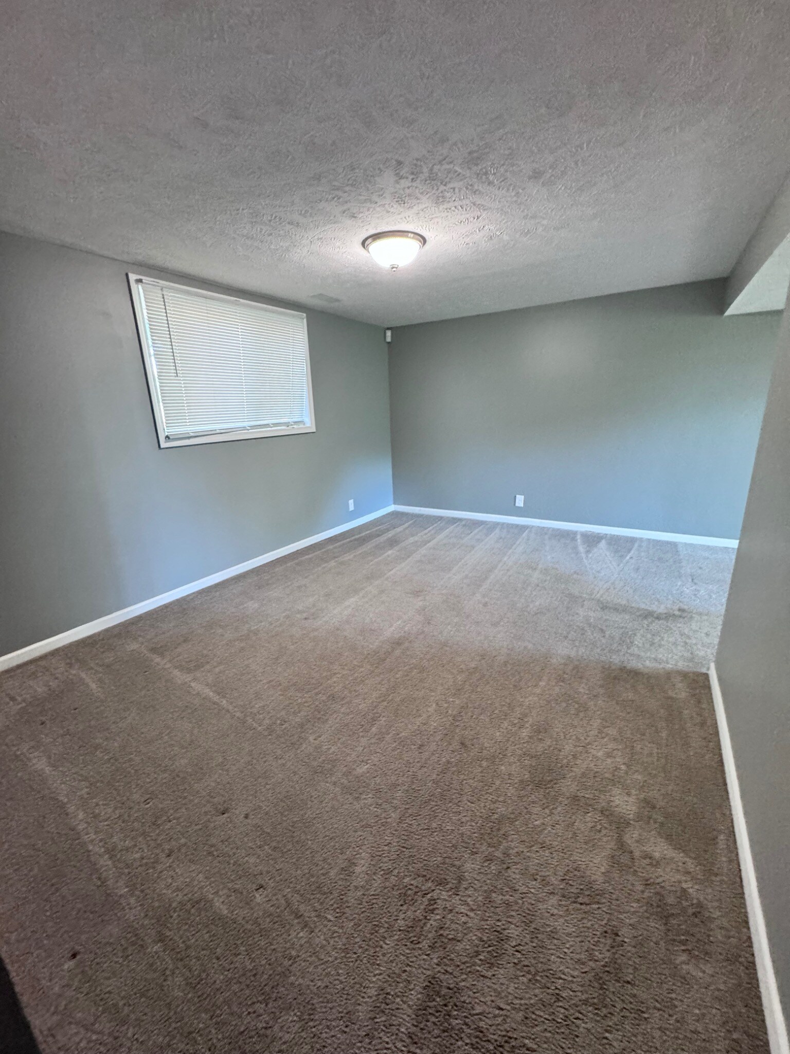 Downstairs - 6425 N 68th St