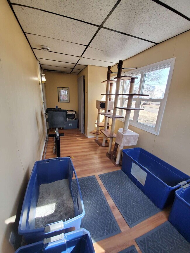 Building Photo - Triplex Lower Unit - Available for Rent - Video tour