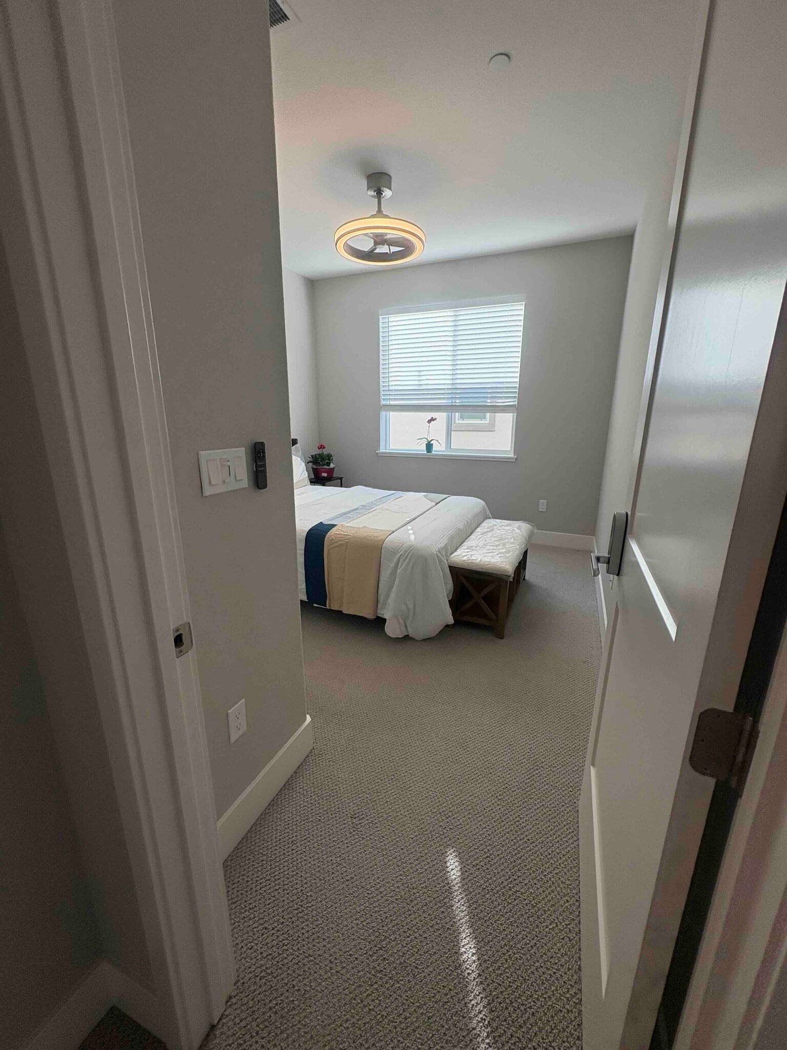 Building Photo - 2850 Lumin Ct