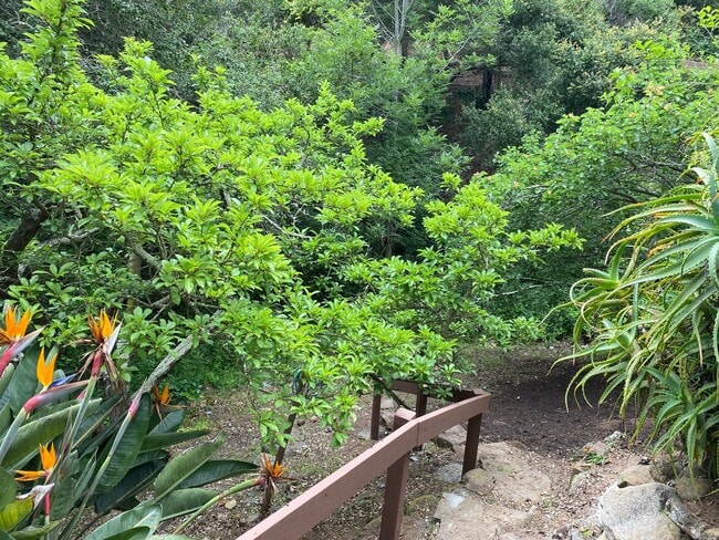 Building Photo - Beautifully Remodeled 2 Story Home In Cold...