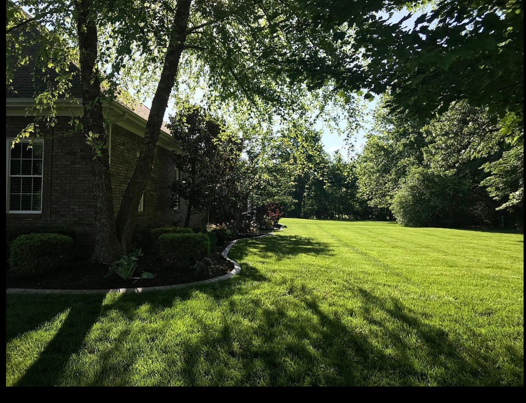 Building Photo - 1834 Deerhaven Ln