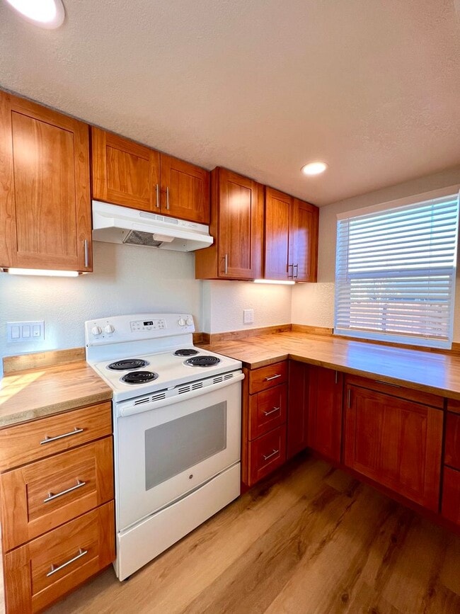 Building Photo - Non-Refundable & Security Deposit Total: $1590.00