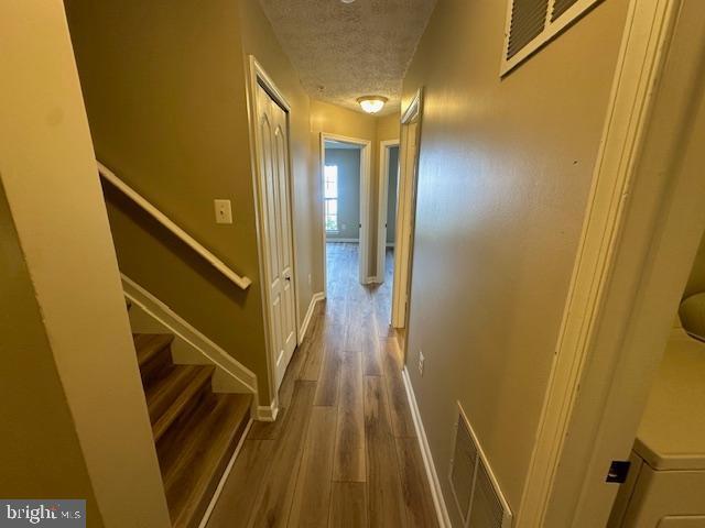 Building Photo - 4011 Estevez Ct