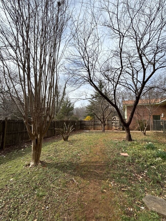 Building Photo - Newly Renovated Studio!