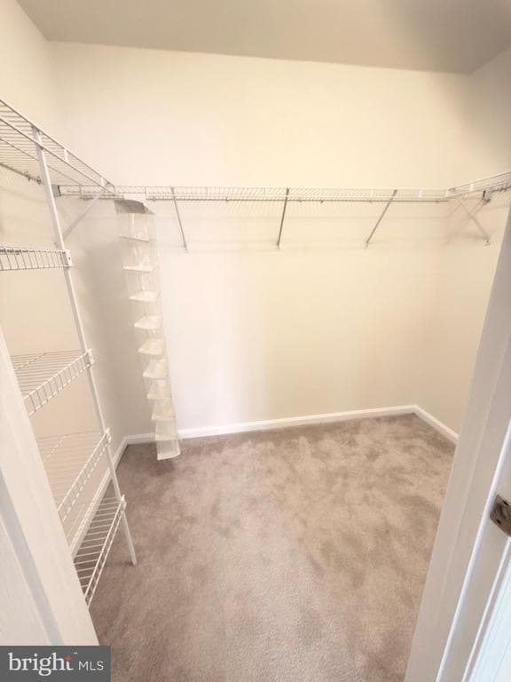 Building Photo - 37 Wickham Ct