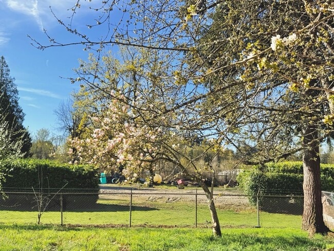 Building Photo - Charming 4BR Home with Huge Yard - W/D and Garage