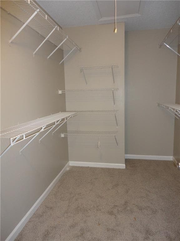 Building Photo - 1715 Crestwell Ln SW