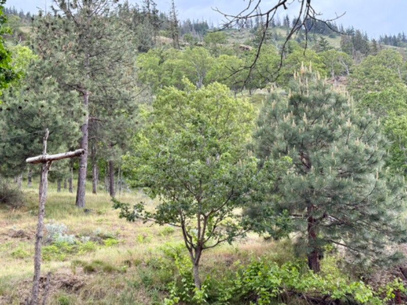 Building Photo - 5810 US 30