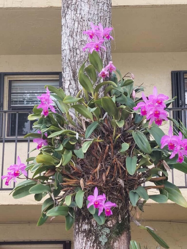 Building Photo - 367 S Federal Hwy