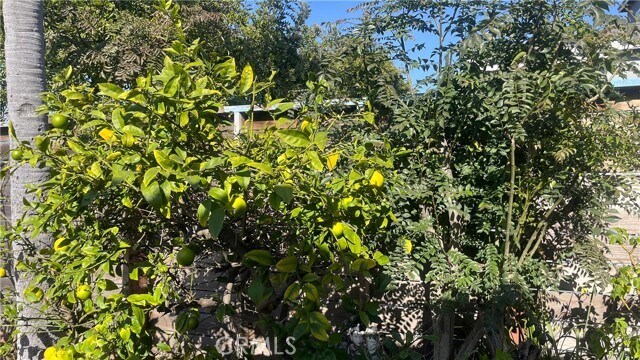 Building Photo - 2220 Delaware Ave