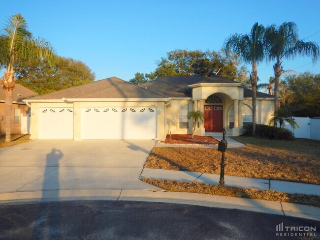 Primary Photo - 1504 Canoe Drive Lutz FL