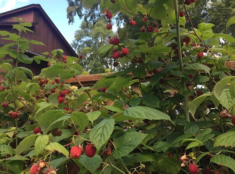 Building Photo - 1426 Orca St