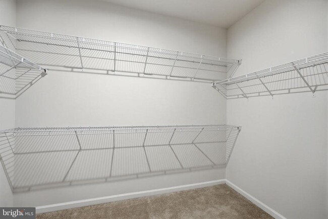 Building Photo - 3634 Briarwood Dr