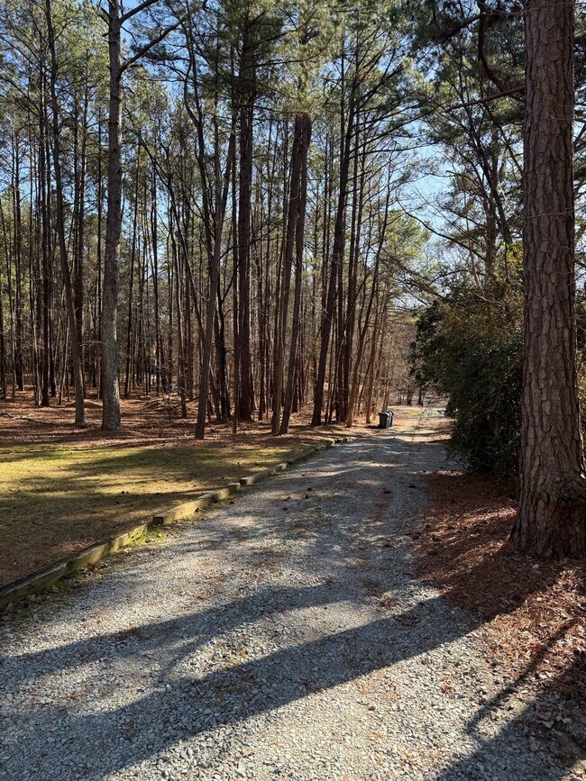 Building Photo - 925 Shady Lawn Rd