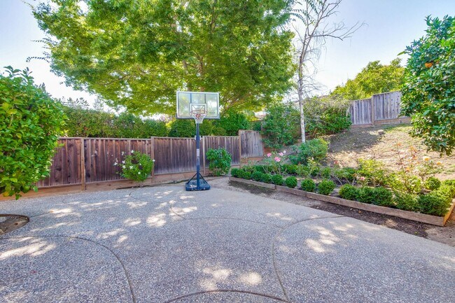 Building Photo - Large Landscaped Backyard! Fruit Trees