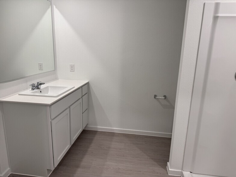 Master Bathroom Vanity - 1355 Wedgeleaf Ln