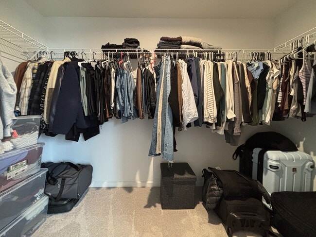 Building Photo - 513 Turquoise Ln