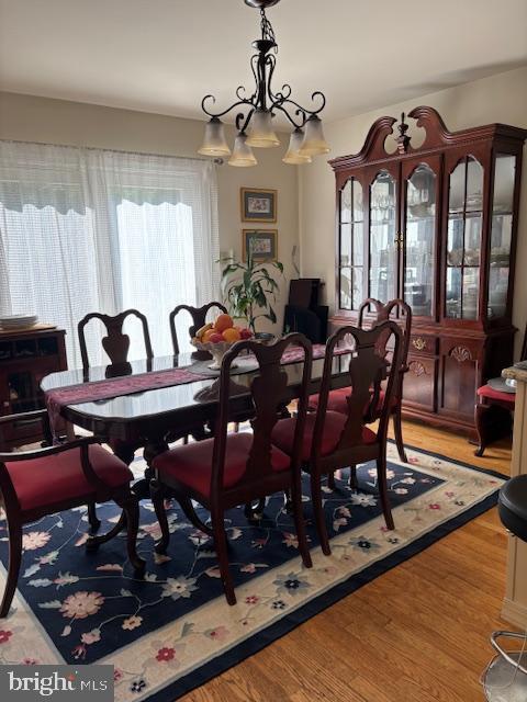 Building Photo - 908 Holly Ct