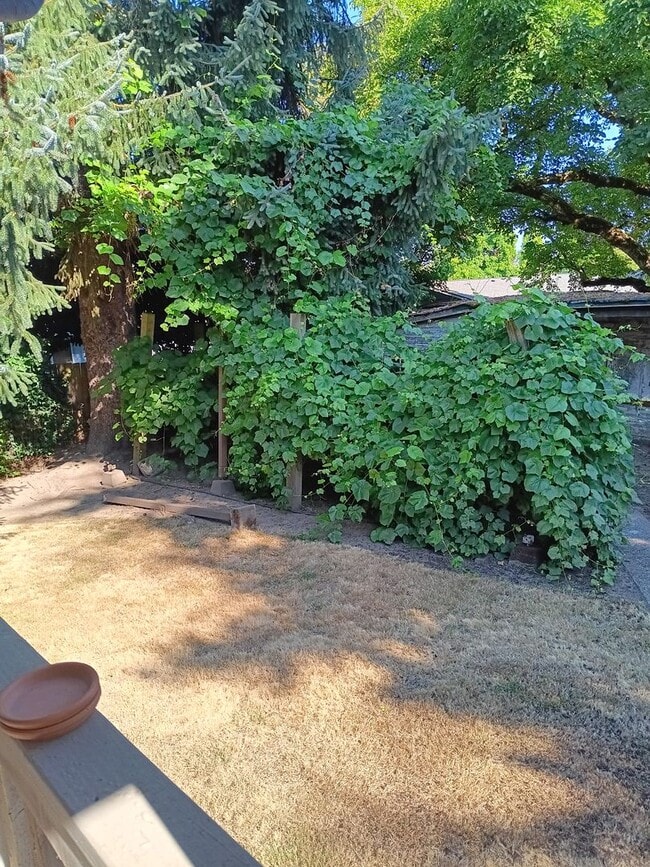 Building Photo - Duplex 4 Blocks From WOU Available